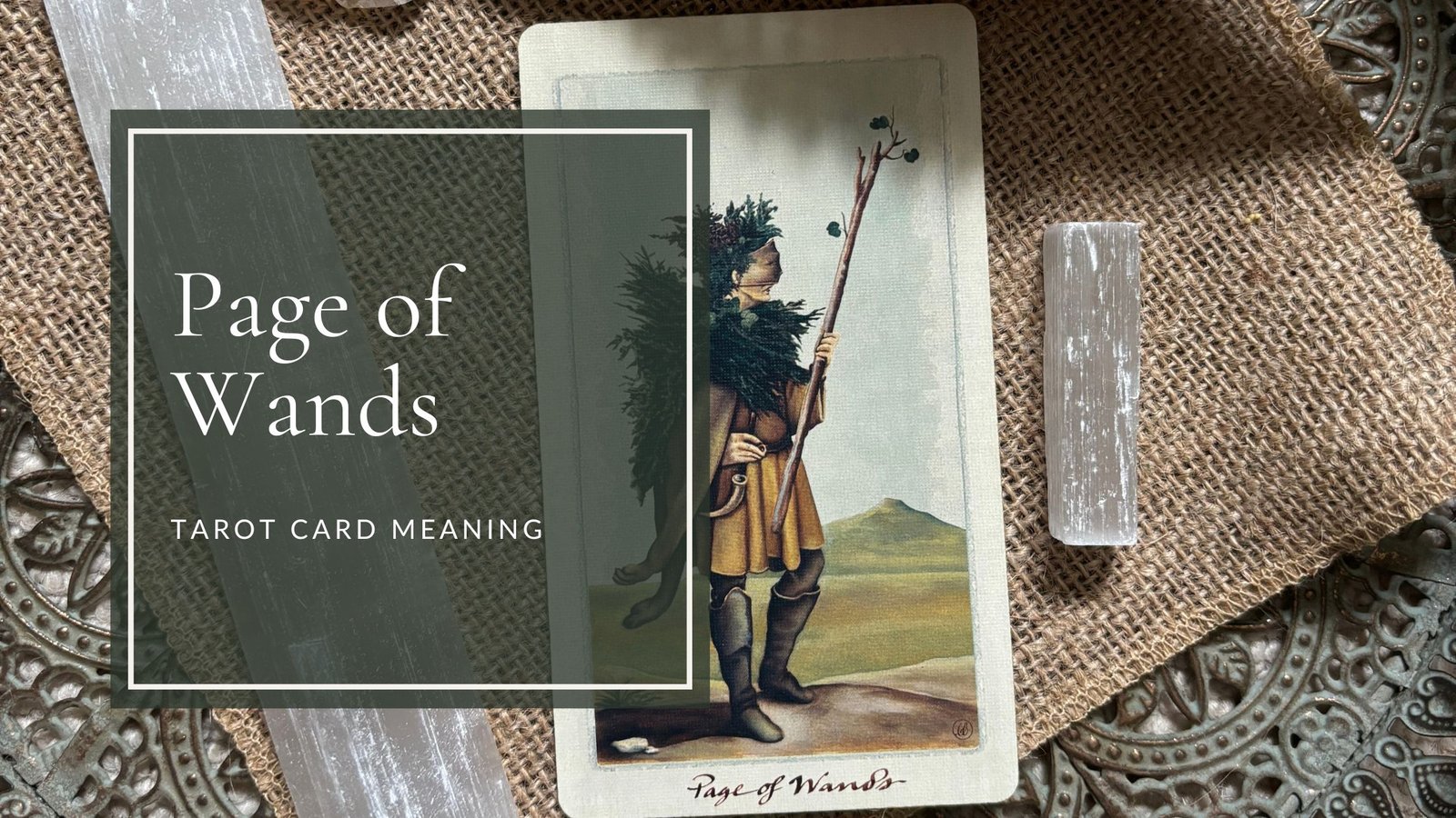 page-of-wands-tarot-meanings-upright-and-reversed