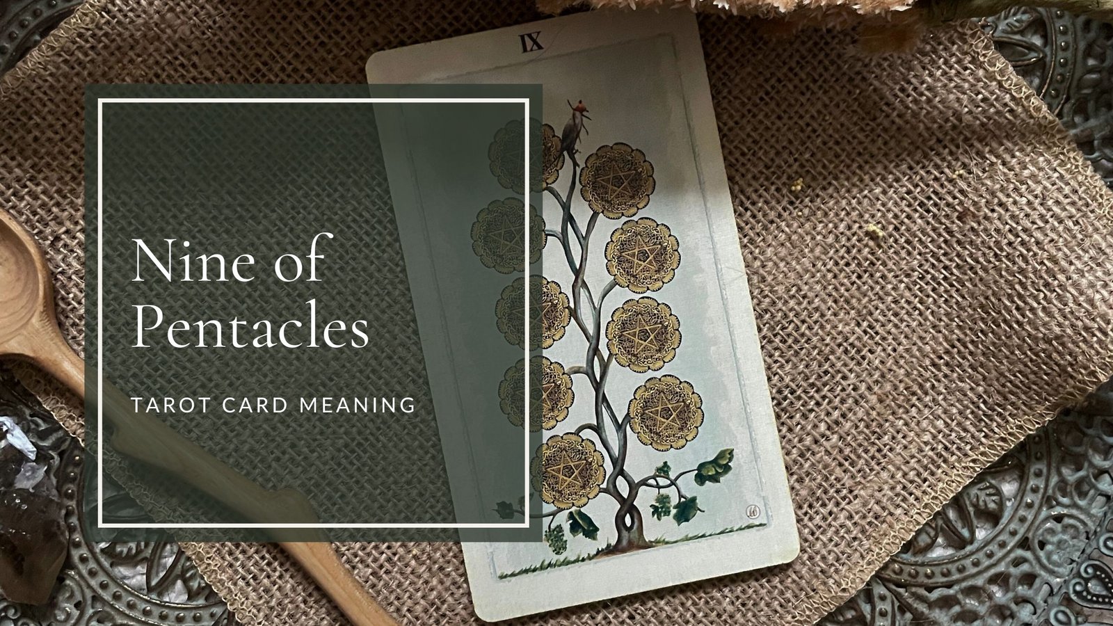 Nine of Pentacles Tarot Meanings | Upright and Reversed